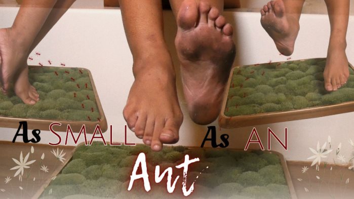 Poster for Clips4Sale Creator - As Small As An Ant - Cupcake Sinclair - Dirtyfeet, Pov, Giantess (Кекс Синклер Великанша)