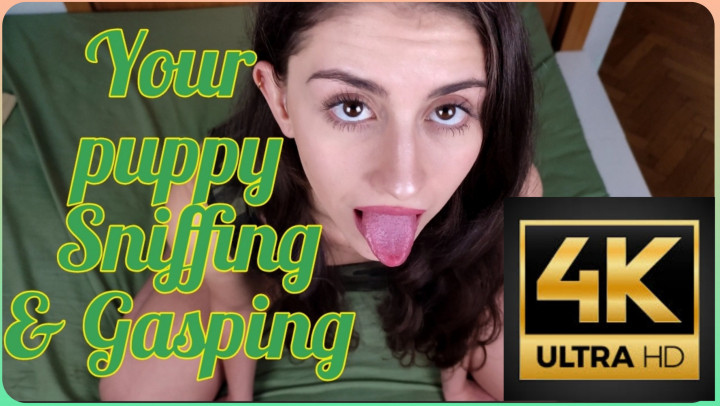 Poster for 4K Puppy Sniffing & Gasping - Manyvids Star - Shanaxnow - Dogtraining, 18And19Yrsold, Bigass (Шанакснов Большая Задница)