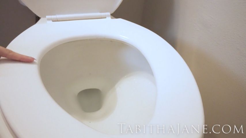 Poster for Manyvids Model - Clean Commode With Your Tongue - Thetabithajane - Toilet Slavery, Toilet Fetish, Sfw (Туалетный Фетиш)