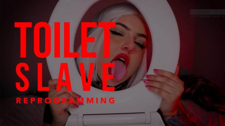 Poster for Mistressbijoux Toilet Slave Reprogramming - Mistressbijoux - Manyvids Model - Toilet Humiliation, Mental Domination (Унижение В Туалете)