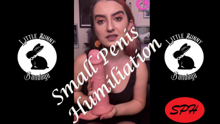 Poster for Small Penis Humiliation With Toys - Dec 1, 2021 - Littlebunnyb - Manyvids Star - Dildos, Big Toys, Small Dicks (Фаллоимитаторы)