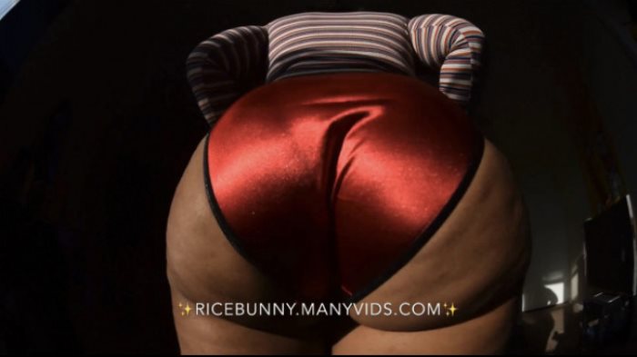 Poster for Ricebunny - Clips4Sale Model - New Satin Panties - Satinpanties, Assshaking (Трясет Задницу)