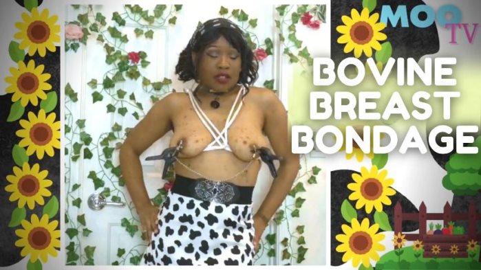 Poster for Bovine Breast Bondage - Clips4Sale Model - Cupcake Sinclair - Cowgirl, Clothespins (Кекс Синклер Прищепки)