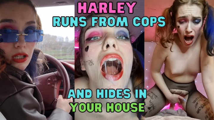Poster for Manyvids Girl - Wetschoolgirl - Harley Quinn Runs From Cops Pov Fuck - April 26, 2022 - Cosplay, Pov, Police Officer