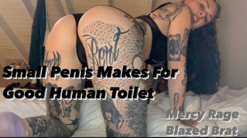 Poster for Manyvids Model - Blazed Brat - Small Penis Makes For Good Human Toilet - Femdom Pov, Sph (Блейз Брат Фемдом Pov)