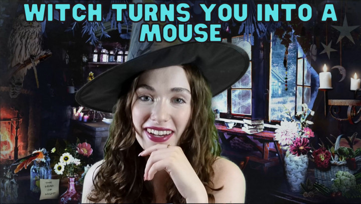 Poster for Manyvids Girl - Flirty Witch Turns You Into A Mouse - June 29, 2022 - Wetschoolgirl - Transformation Fantasies, Gender Transformation, Slave Training (Трансформационные Фантазии)