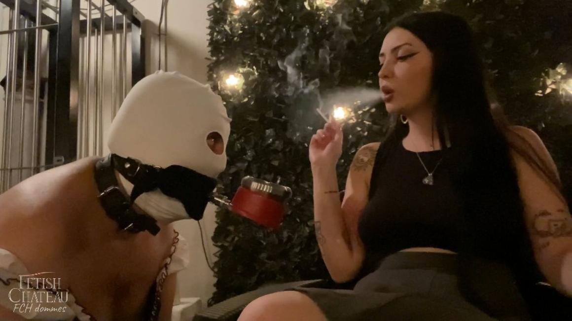 Poster for Manyvids Star - Fchdommes - Mistress Glamorous Will Use This Loser As Her Human Ashtray - August 15, 2023 - Femdom, Human Ashtray, Female Domination (Человеческая Пепельница)