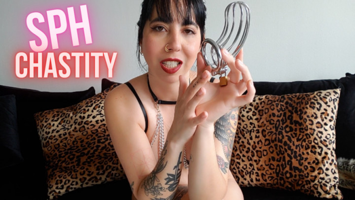 Poster for Jadelussuria - Manyvids Model - Shrimp Dicks Belong In Chastity - Sph - Chastity, Humiliation (Целомудрие)