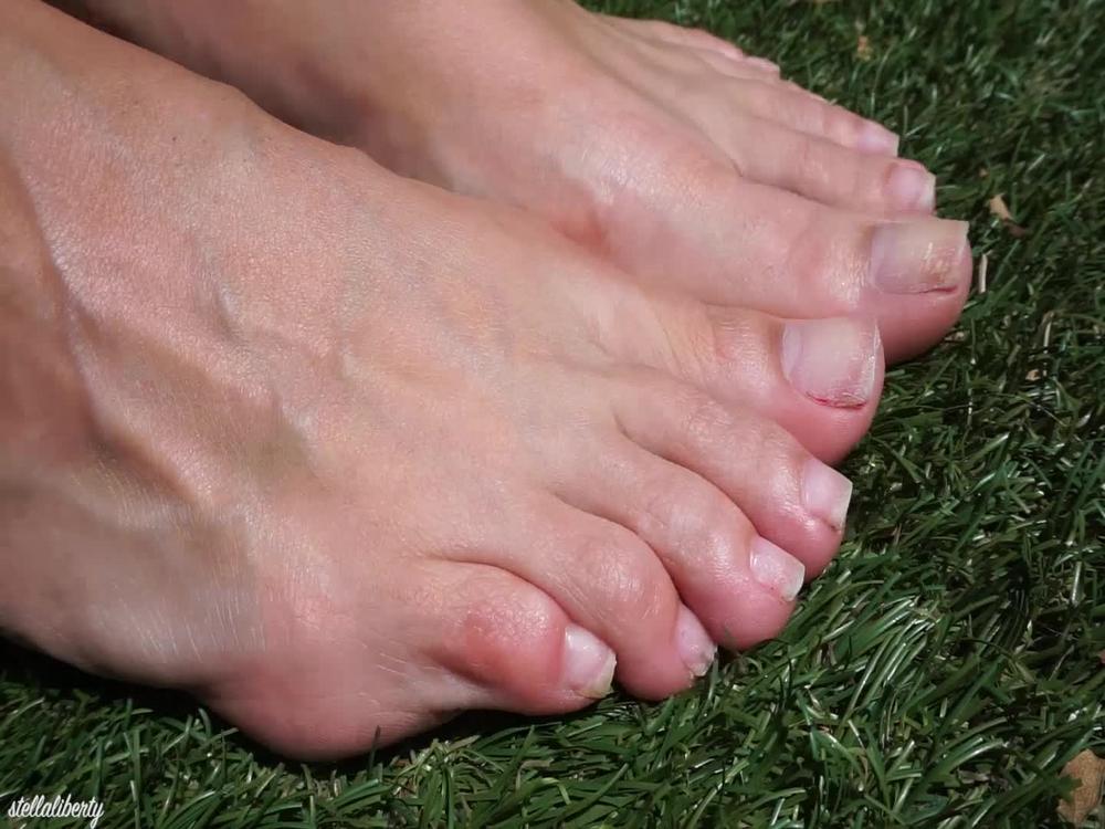 Poster for Manyvids Star - Stella Liberty Toes In The Grass - Stella Liberty - Foot Fetish, Toenail Fetish, Toe Wiggling (Звезда Свободы Фетиш На Ногтях)