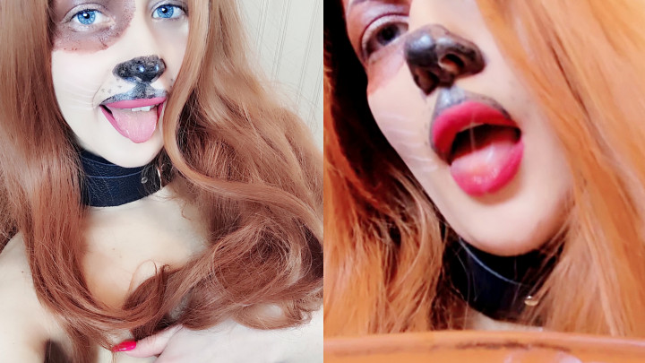 Poster for Juliacrown - Manyvids Star - Pet Of Your Dream 2 - Makeupartist, Cosplay, Puppyplay (Косплей)