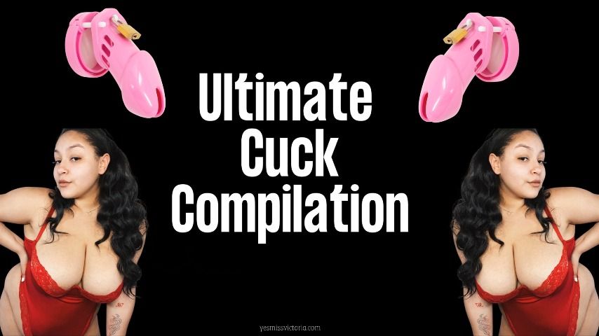 Poster for Manyvids Star - Ultimate Cuck Compilation - Dec 18, 2021 - Queenvixoxo - Female Domination, Cuckolding (Рогоносец)